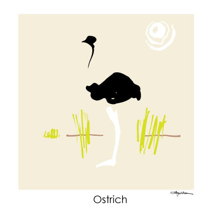 NEW LOW PRICE/Ostrich