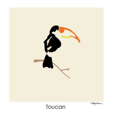 NEW LOW PRICE/Toucan